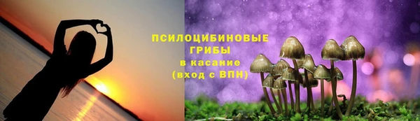 PSILOCYBIN Алзамай