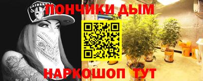сатива Кингисепп