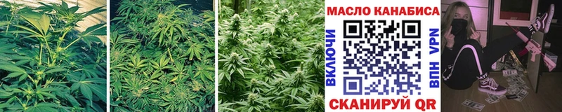 Дистиллят ТГК THC oil  hydra онион  Лосино-Петровский 