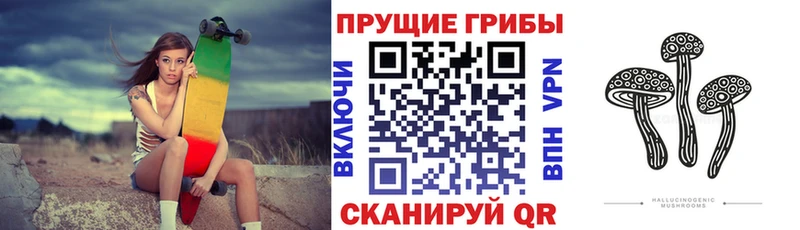 Псилоцибиновые грибы мухоморы  Лосино-Петровский 