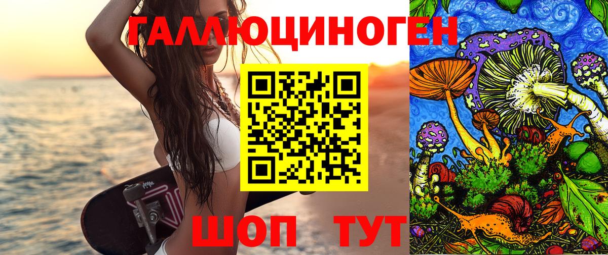 Псилоцибиновые грибы Psilocybine cubensis Лосино-Петровский